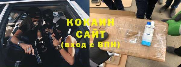 индика Алзамай