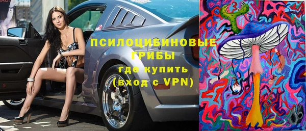 индика Алзамай