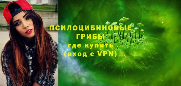 индика Алзамай