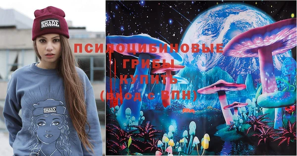 индика Алзамай