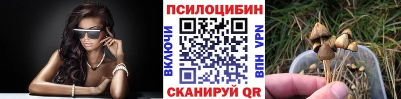 omg маркетплейс  Всеволожск  Галлюциногенные грибы Magic Shrooms 